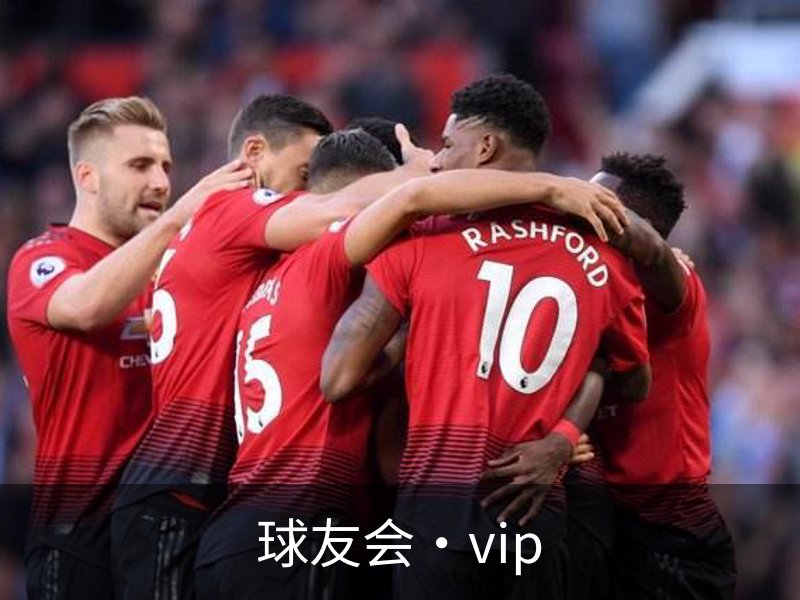 球友会·vip介绍